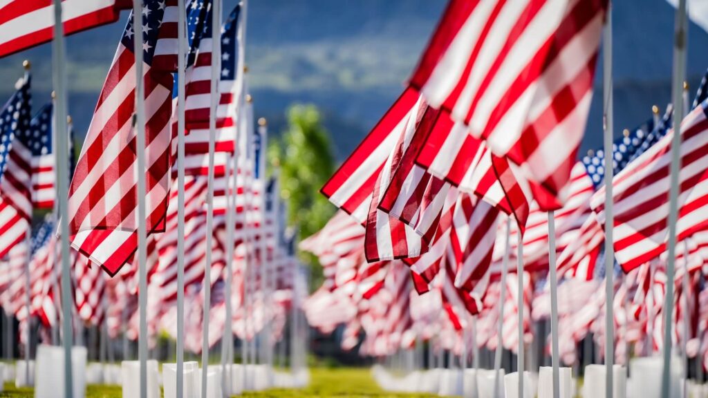 Closeup shot of rows of American flags on a field